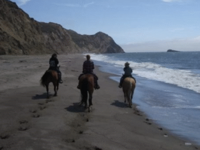 Five Brooks Ranch + Stables: Point Reyes National Seashore